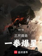 一拳爆星篱笆好网