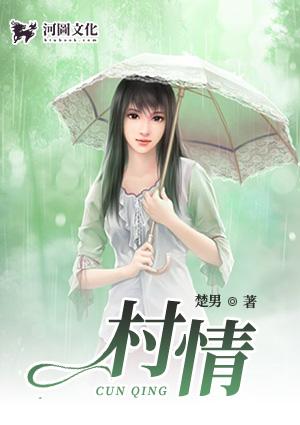 村情概况基本介绍
