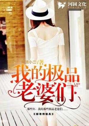 我的极品老婆们免费阅读