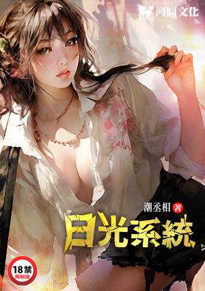 日光照明系统