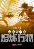 从海贼开始熔炼万物 作者无忧舞