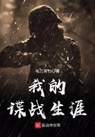 我的谍战生涯无趣