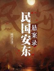 民国安东悬案录全文TXT