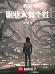 我的职业特点