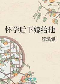 怀孕后下嫁给他晋江