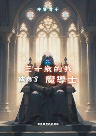 30岁成为魔法师在线