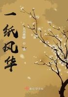 一纸风华的唯美句子
