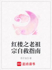 红楼之老祖宗别样生活