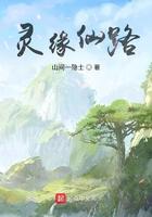 觅缘修仙