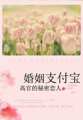 高官的秘密恋人婚姻支付宝全文免费