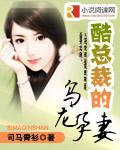 酷总裁乌龙孕妻全文免费