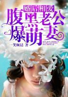 婚后相爱腹黑老公爆萌妻 第一册 一笑倾晨