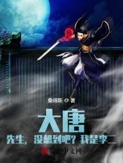 大唐我是李二儿子