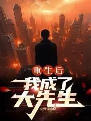 重生后我成了大先生大结局