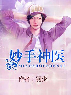 妙手小村医