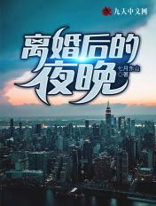 离婚后的夜晚张一诺免费阅读