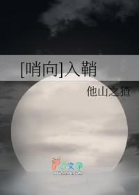 哨向入鞘