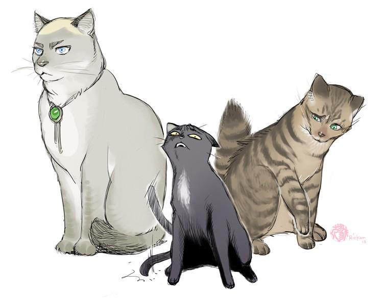 三个人幸福的生活