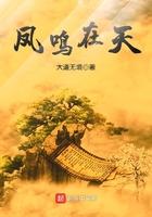 凤鸣的典故与出处