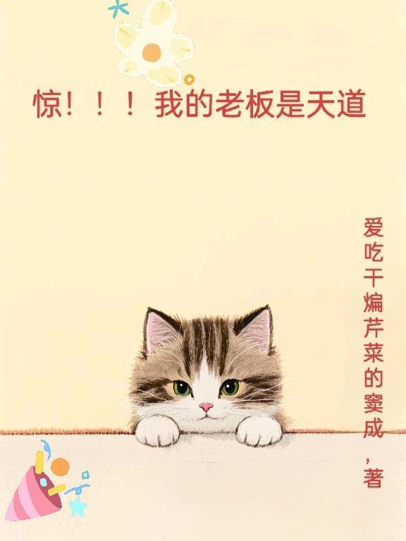 我的老板是我的老婆