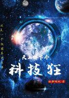 天上掉下个ufo奇葩道具
