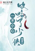 一不小心攻略了反派