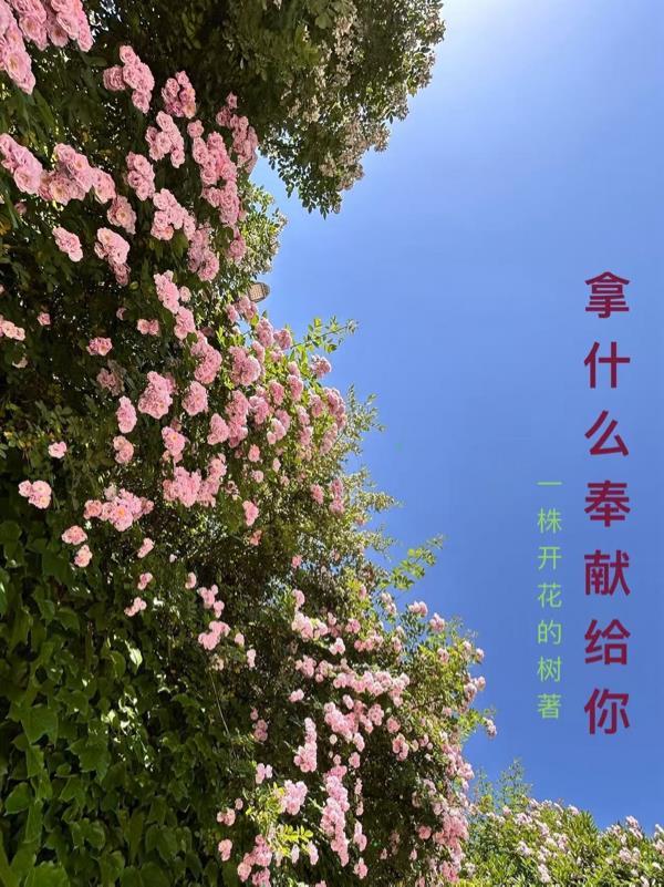 拿什么奉献给你我的爱人是什么歌