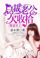 总裁老公欠修理