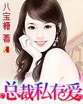 总裁的私有情人