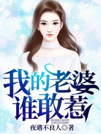 我的老婆谁敢惹 夜遇不良人