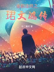全职法师r文