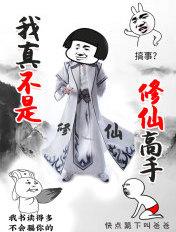我真不是修仙高手境界划分