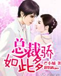 总裁竟如此纵容