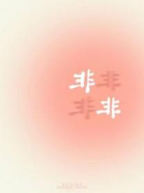 非非是什么意思