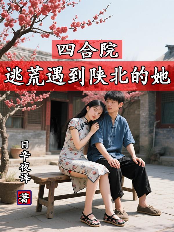 四合院逃荒遇到陕北的她日辛夜译 / 著