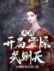 大唐开局从了武则天