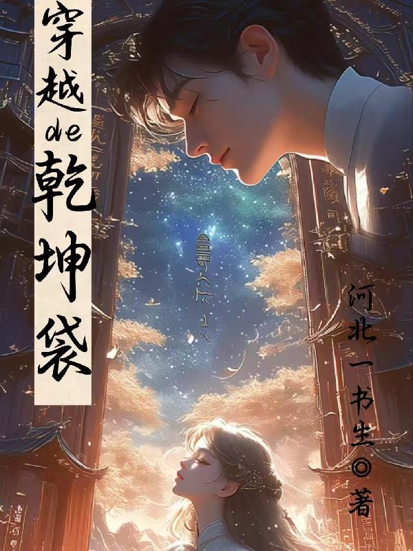 穿越的乾坤袋在线阅读