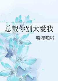 总裁你别太爱我笔趣阁免费阅读