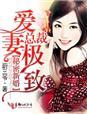 秘密新婚总裁爱妻极致图片
