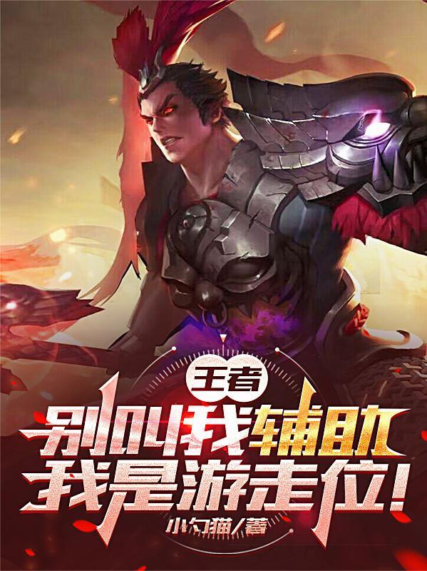 王者荣耀游走和辅助的区别