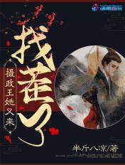 摄政王她又来找茬了全文免费阅读txt