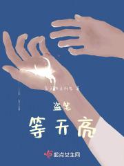 盗笔等天亮