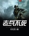老兵不死只会逐渐凋零是谁说的