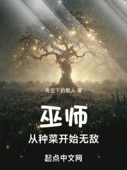 从巫师世界起步