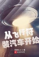 从飞行符装汽车开始爱妻在上