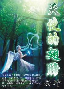 天使的翅膀是哪个电视剧的主题曲
