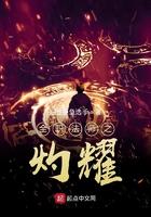 全职法师之火