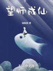 望父成仙免费阅读