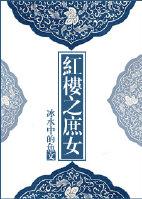 红楼之庶女攻略