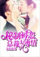 总裁的蜜制爱人宋淼